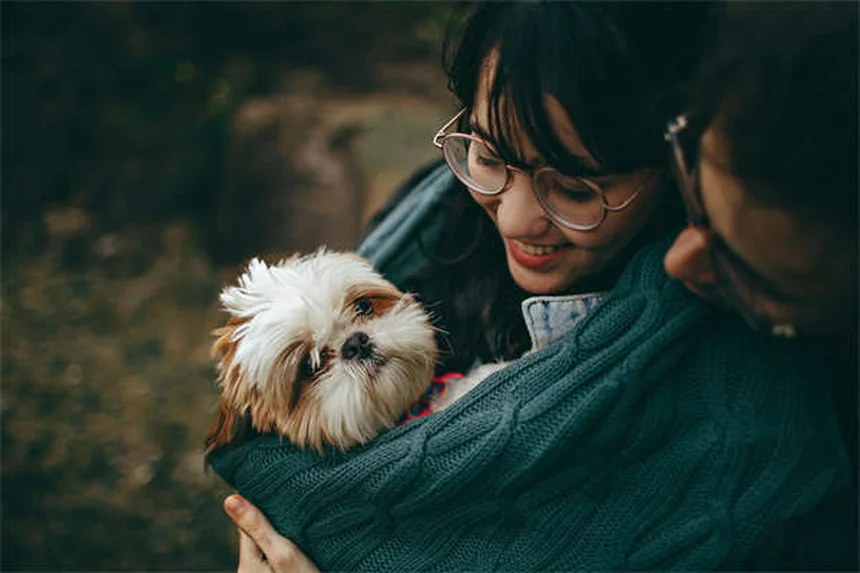 犬の下痢にイモジウムを使う前に知っておきたい5つのこと